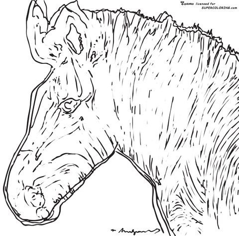 Zebra By Andy Warhol  Coloring Page